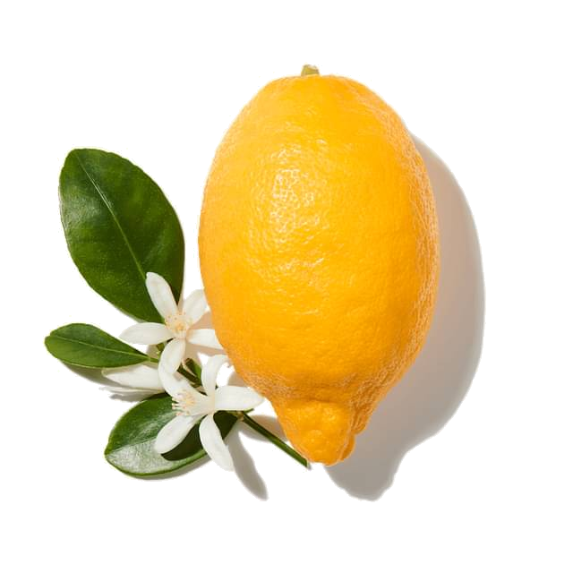 calabrian bergamot