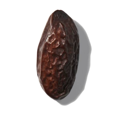 tonka bean